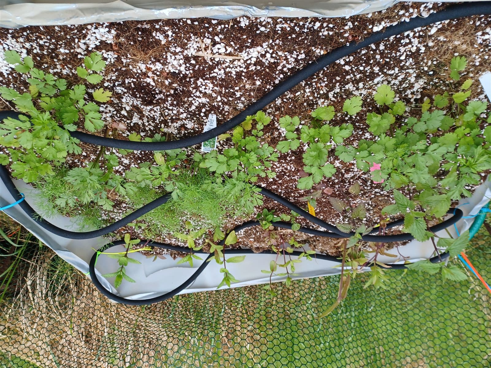 Compact herb garden similar to countertop kits