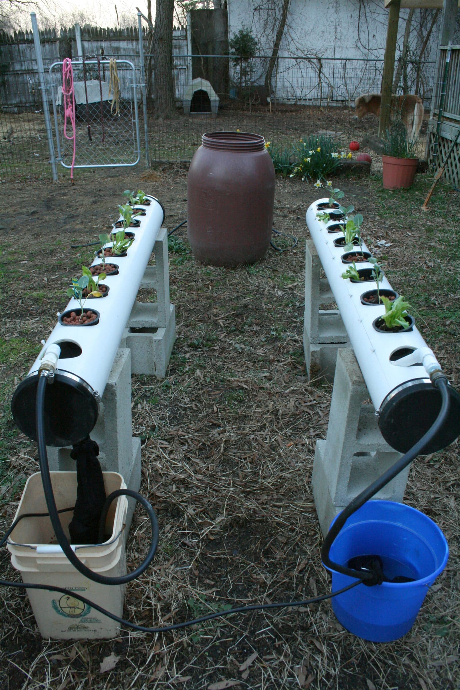 Home NFT hydroponics system with leafy plants